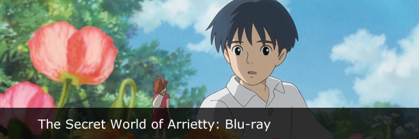 the secret world of arrietty